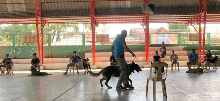 Dog Show in Bayawan