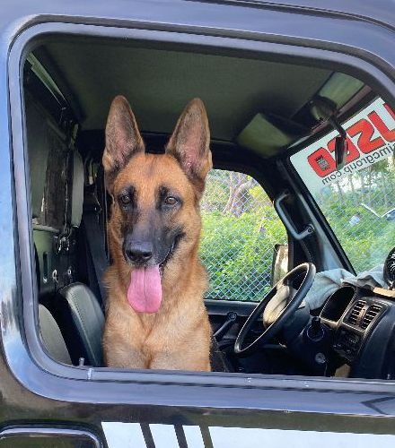 Flickan the co-driver