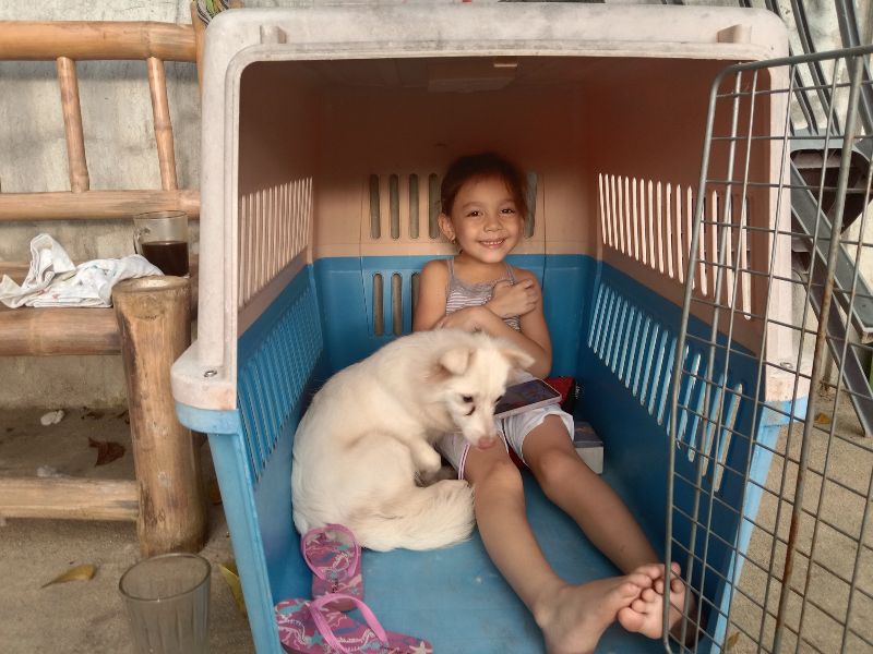 Import dogs to PH
